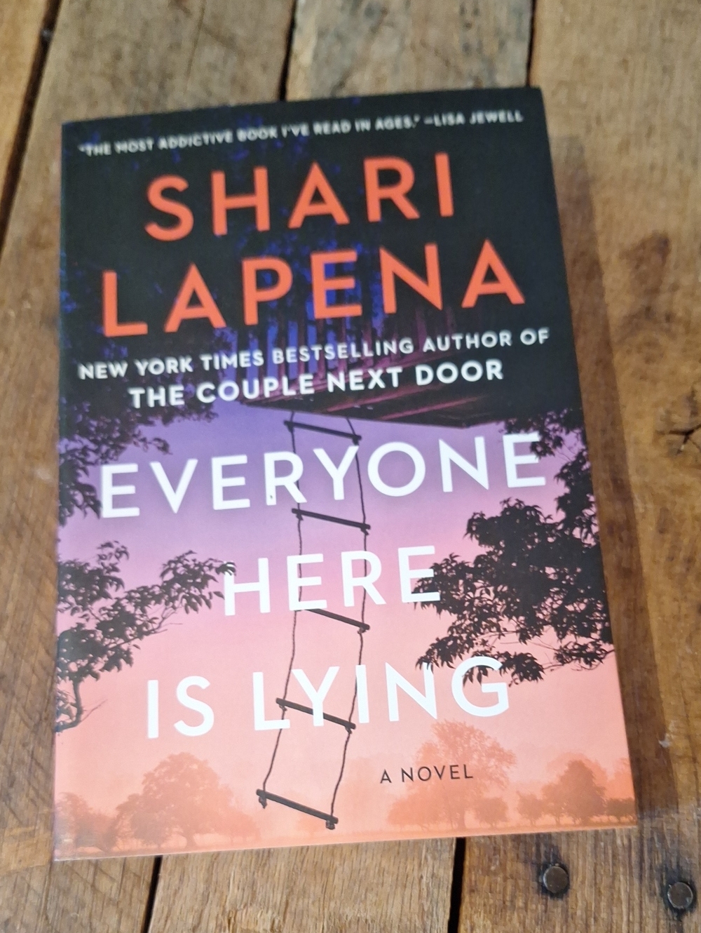 Everyone Here Is Lying - Paperback Book By Shari Lapena